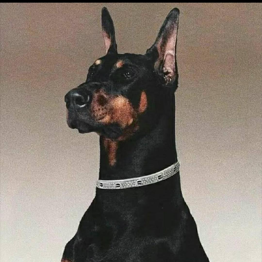 好好家