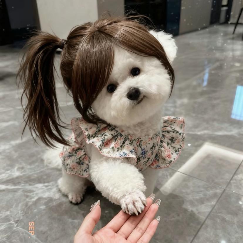 bea