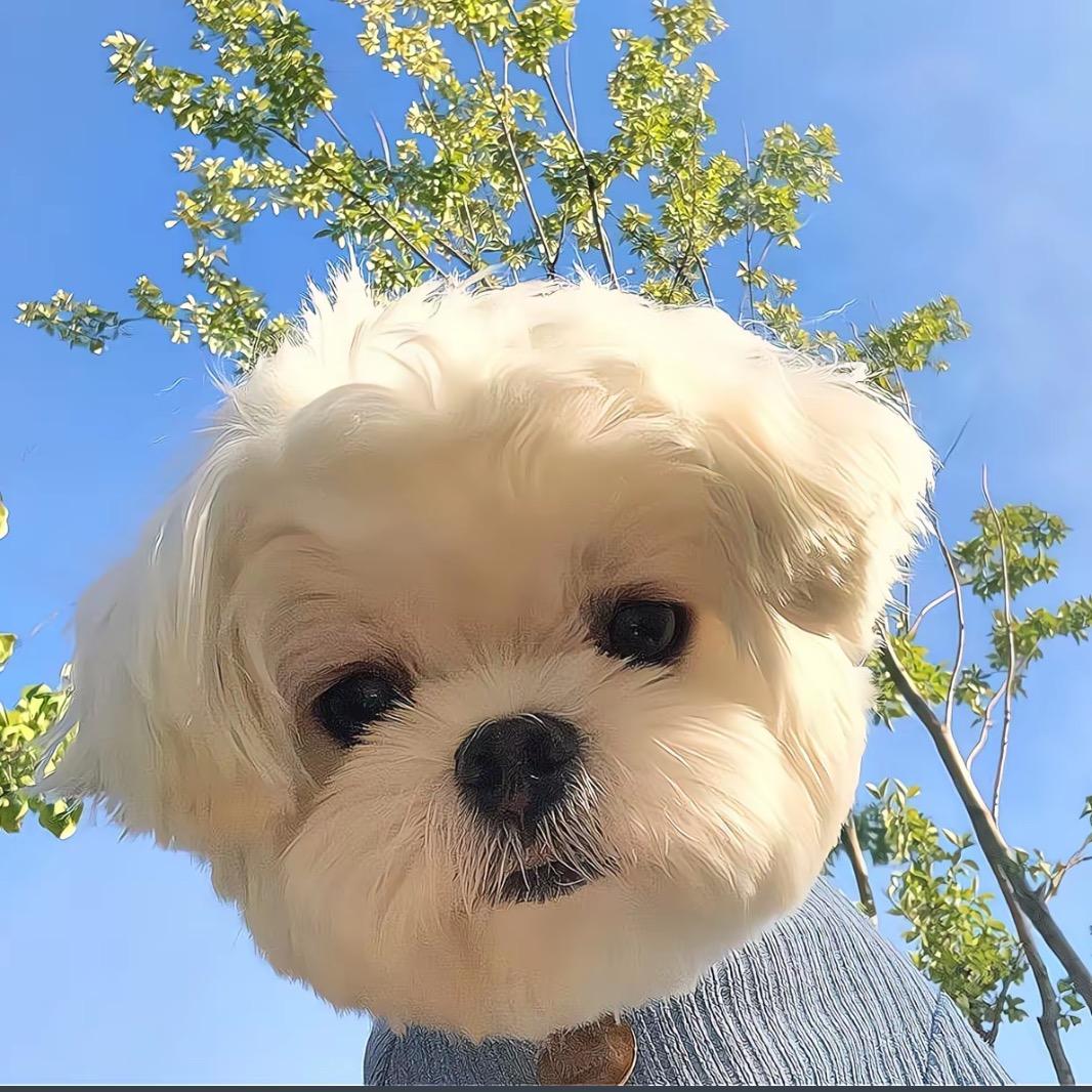 三立逸丰国际小段