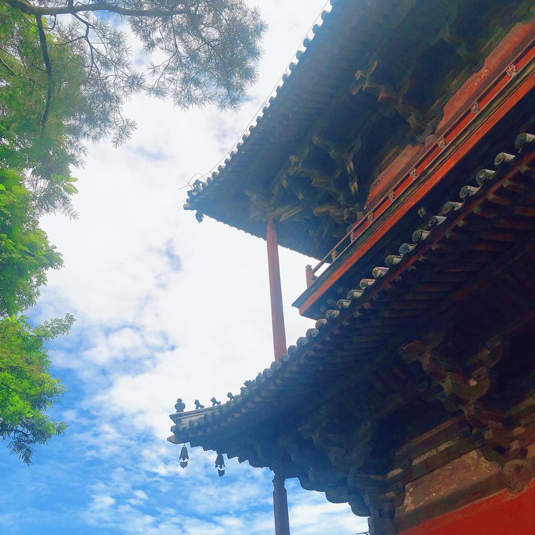 💫乐悠刘💫娜