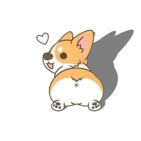 影子