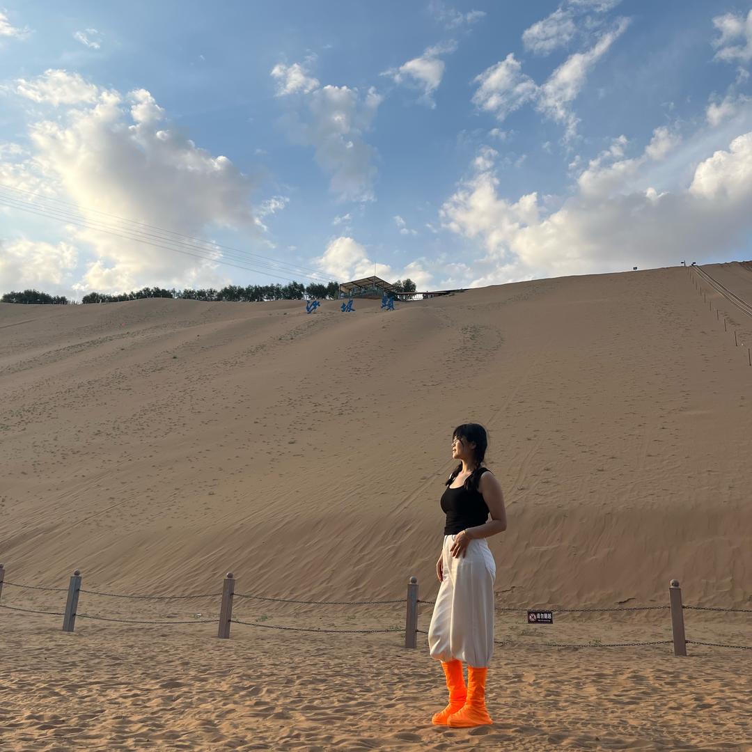 杏
