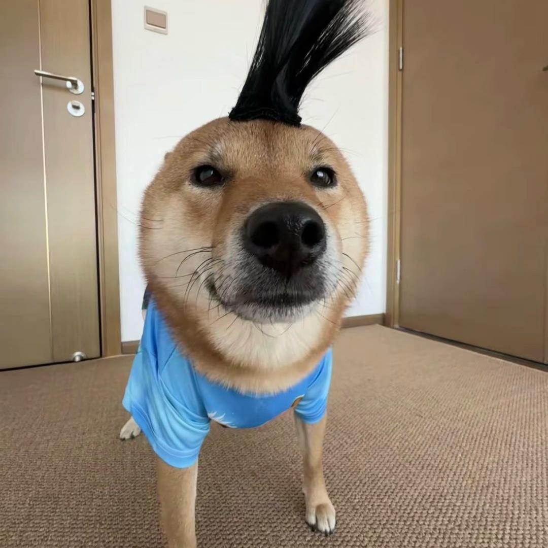 .^_^.