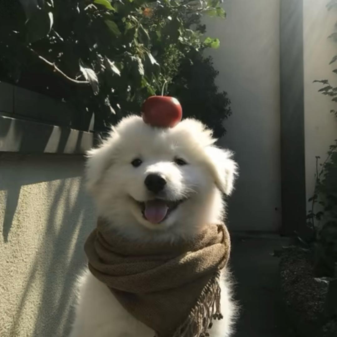 酷帅狂炸龙傲天