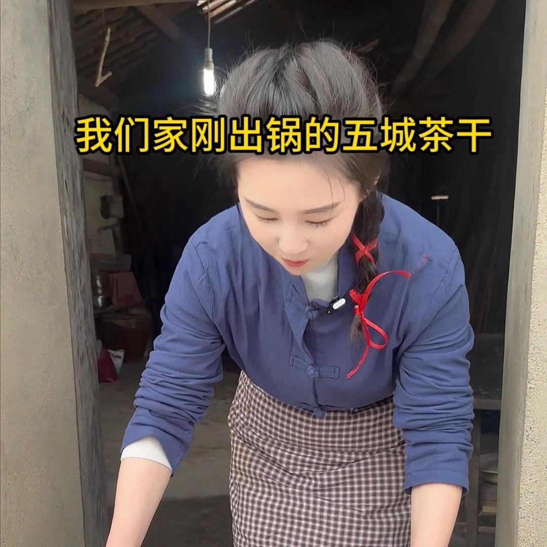 徽兴元五城茶干