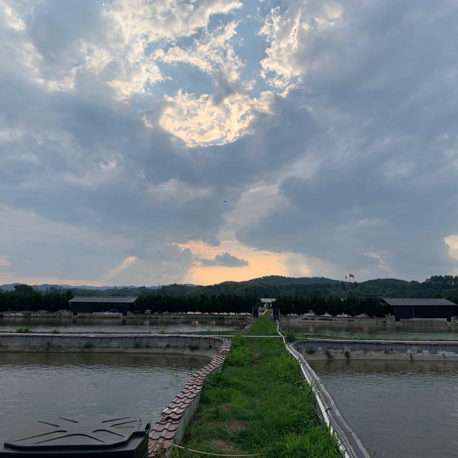添鹏生态（黄校长）