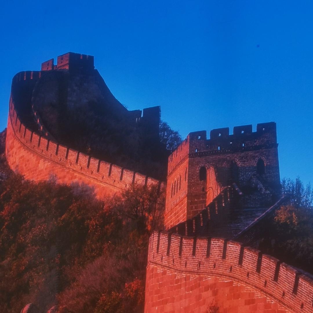 杨哥