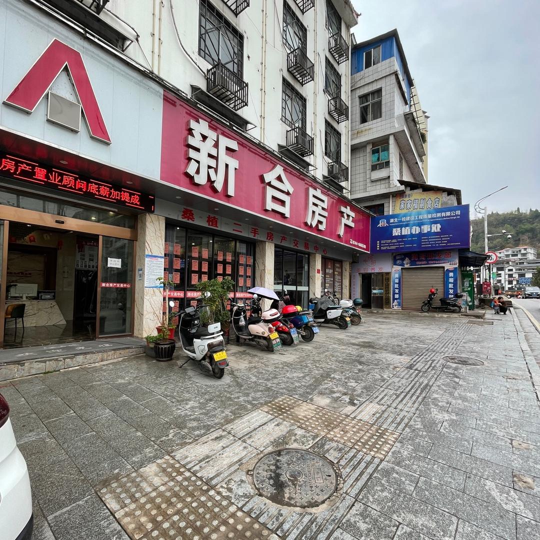 桑植新合房产