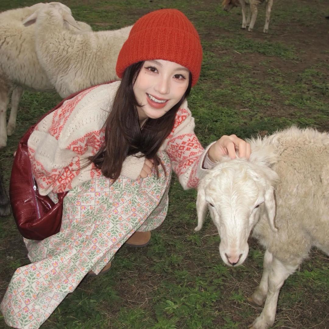 忧郁的可爱猪🐽