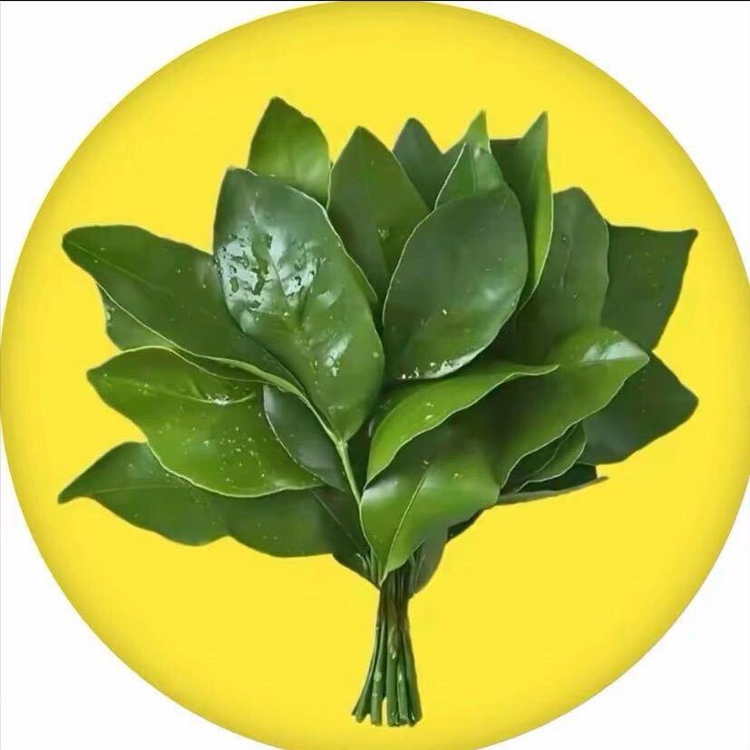 山花的春天