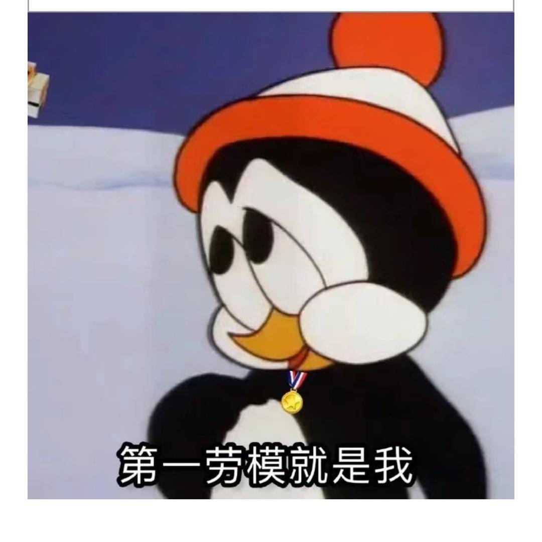 台湾专线—苦瓜不苦.