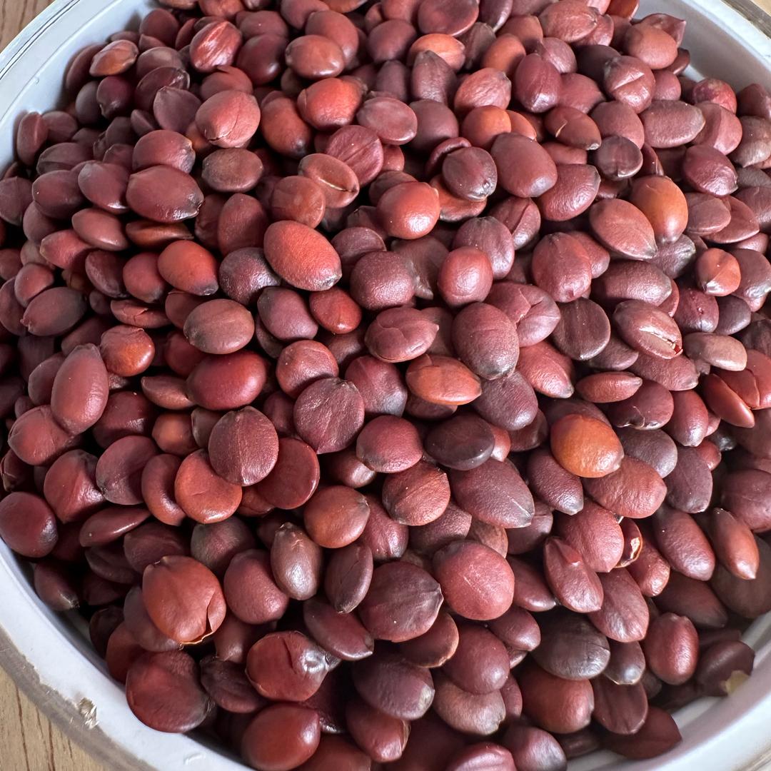 内丘屿襄丘酸枣仁优品店