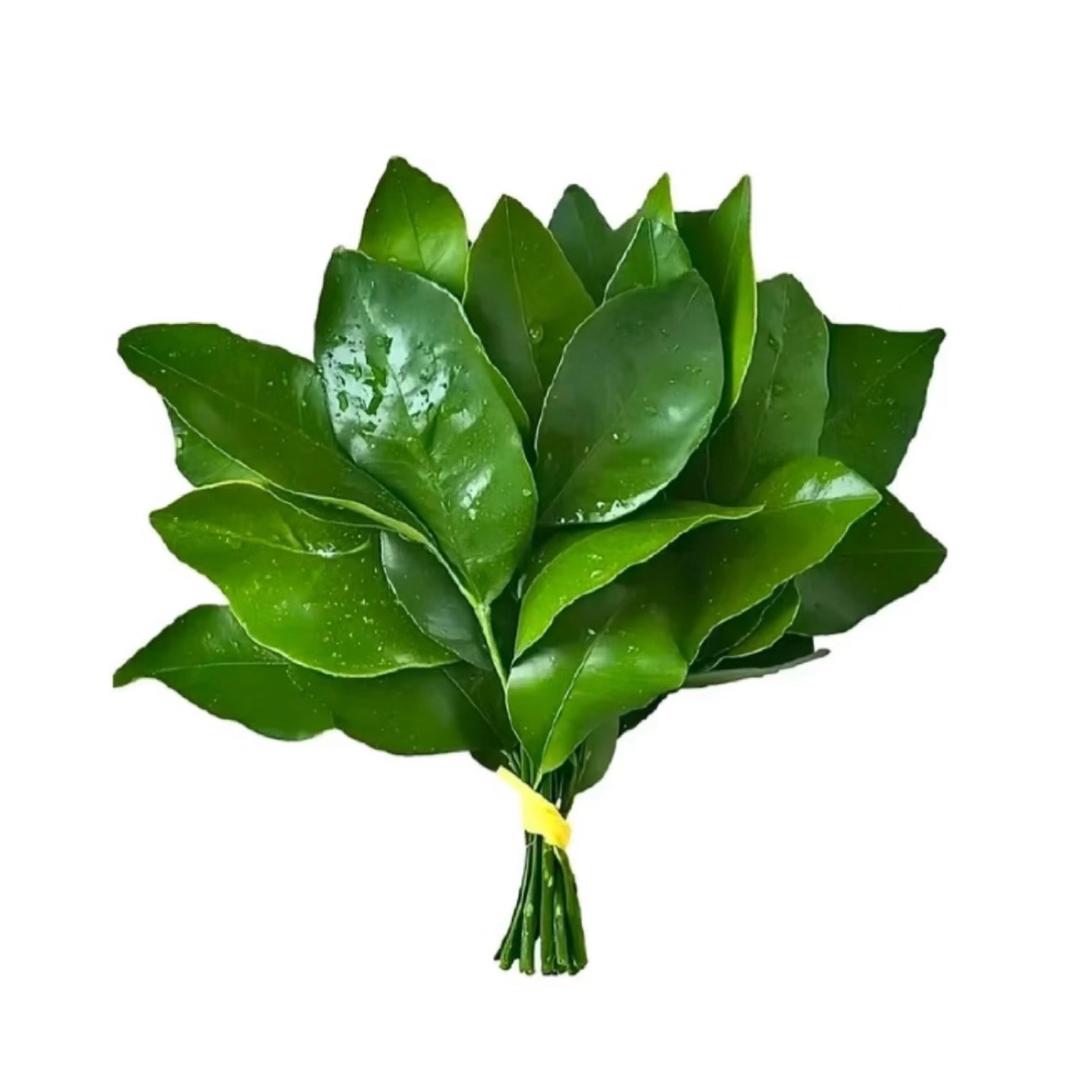 小落不吃渝