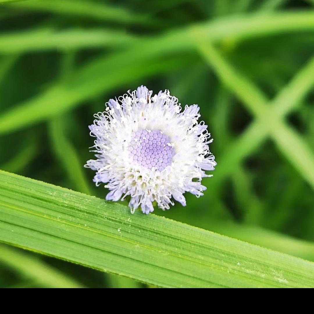 啊 宝 甄 选