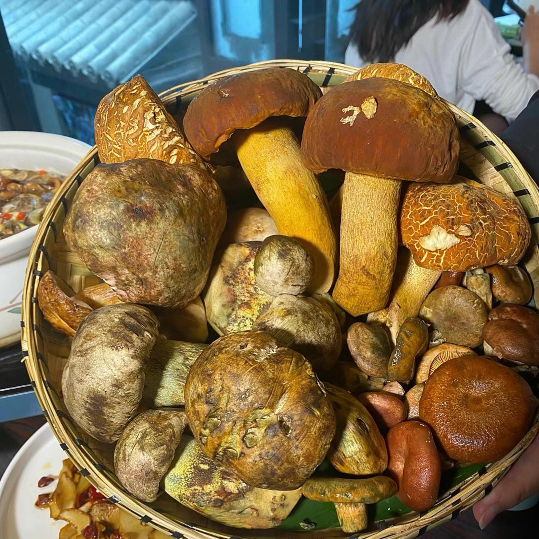 方舟胖子·野生菌火锅（文脉坊店）