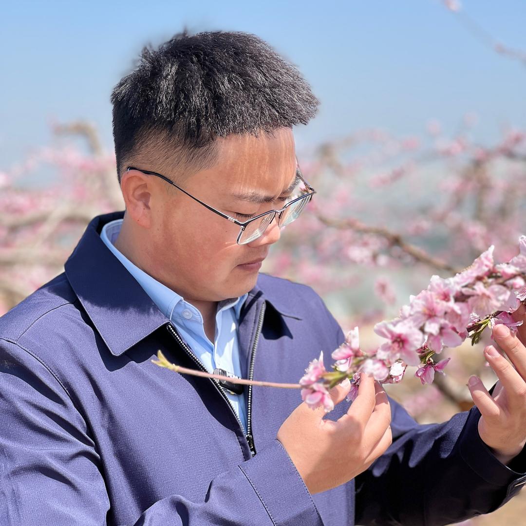 小王说果树