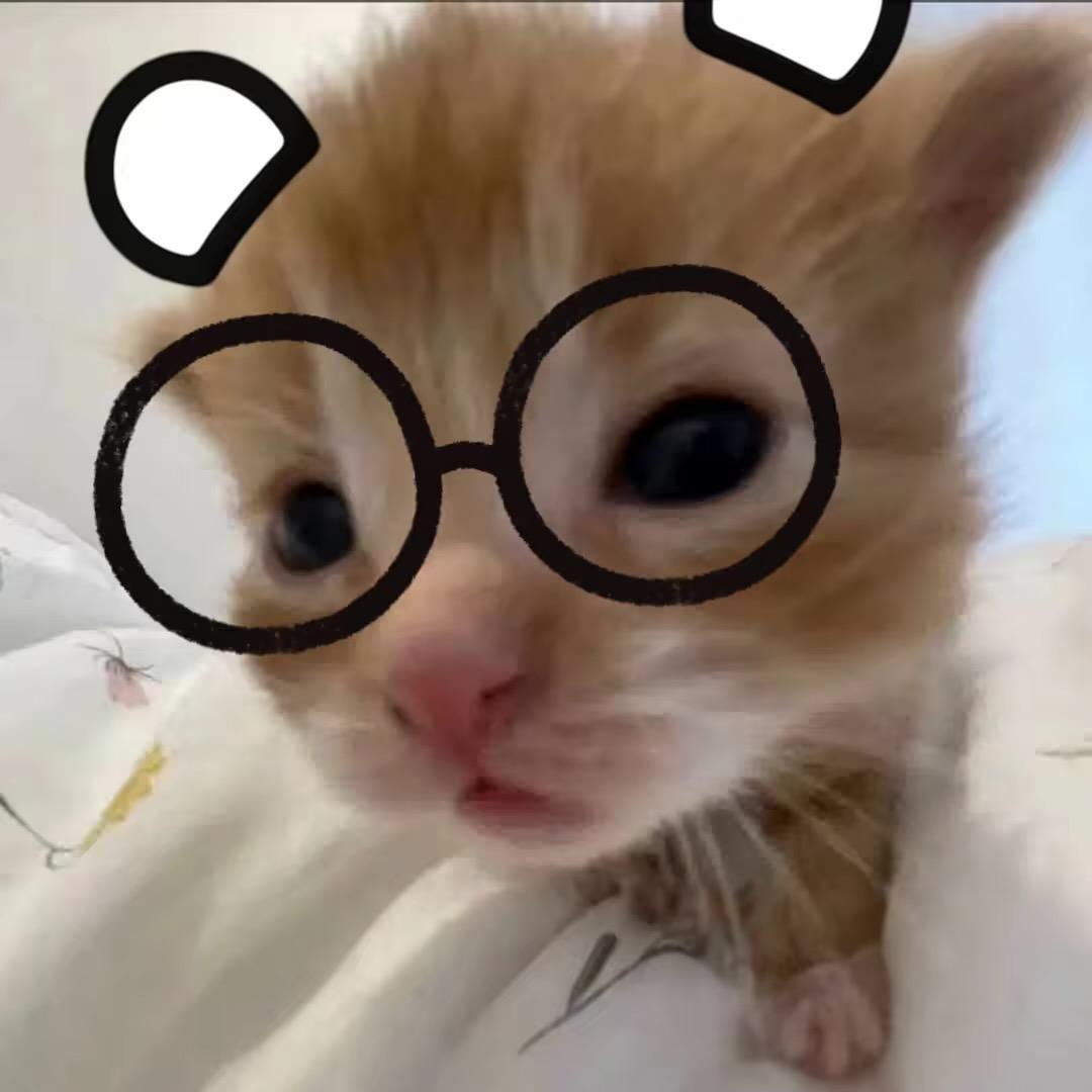 恩歪艾喽