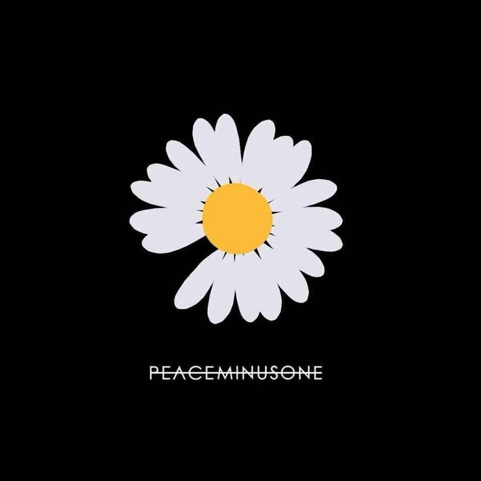 🏵️盛开一夏✨ ₍˄·͈༝·͈˄*₎◞