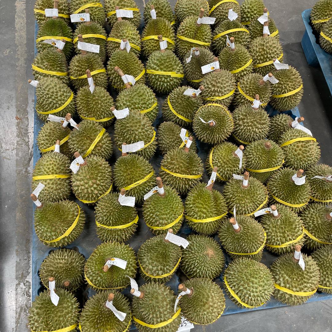 安好在泰国