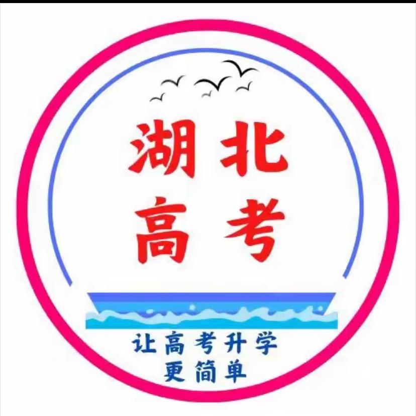 湖北高考李老师（助理号）