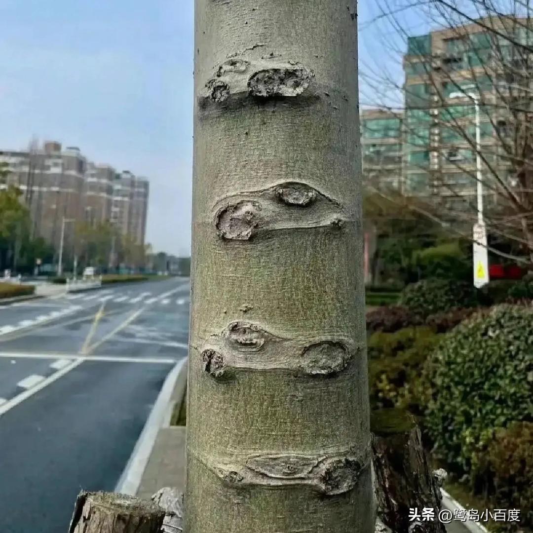 👀无需解释，懂你的人不言而喻👀