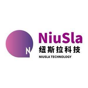 纽斯拉耳机维修