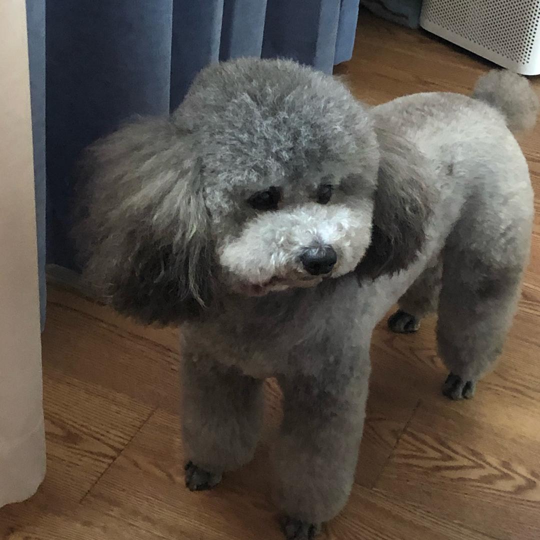 小牛看房～小邢