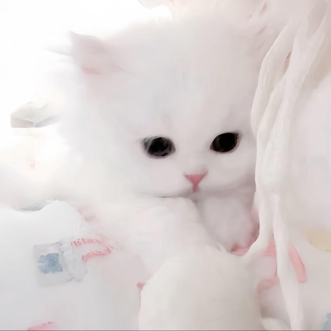 爱我就给我买螺蛳粉