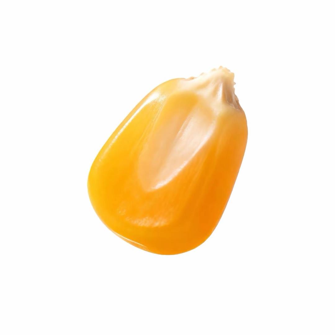 怨缘"