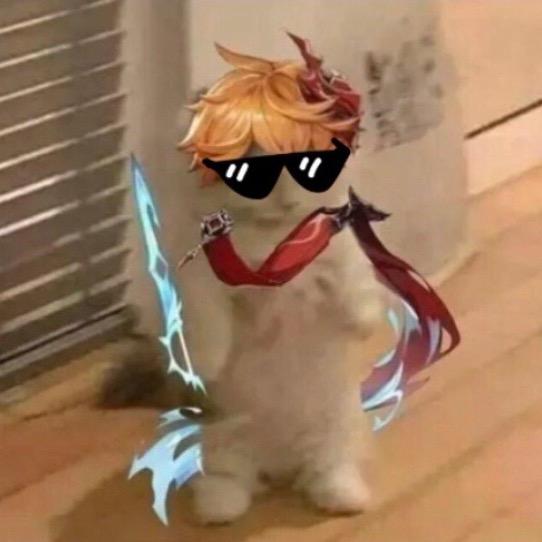 蓝猫S