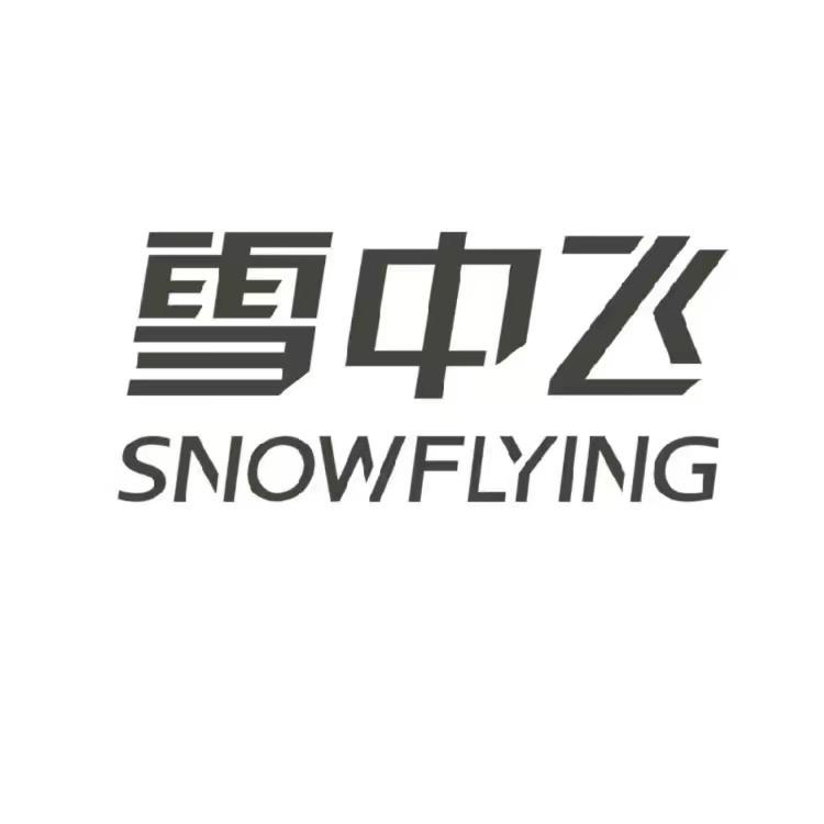 雪中飞朗逸服装店