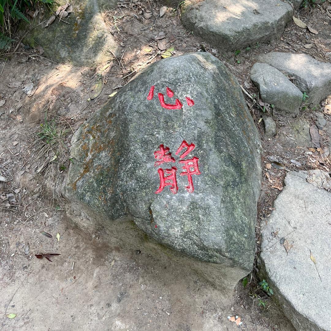 苹果