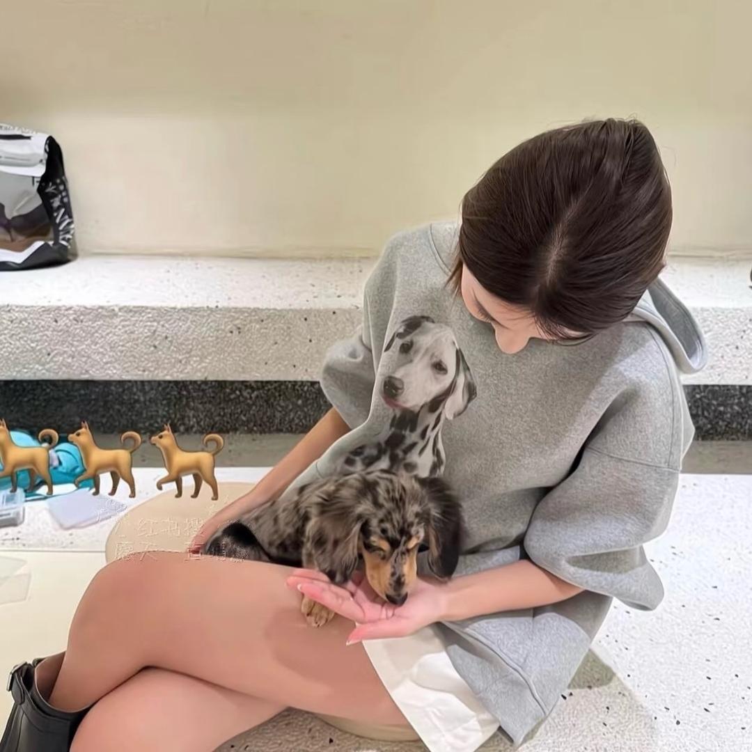 美高美女装