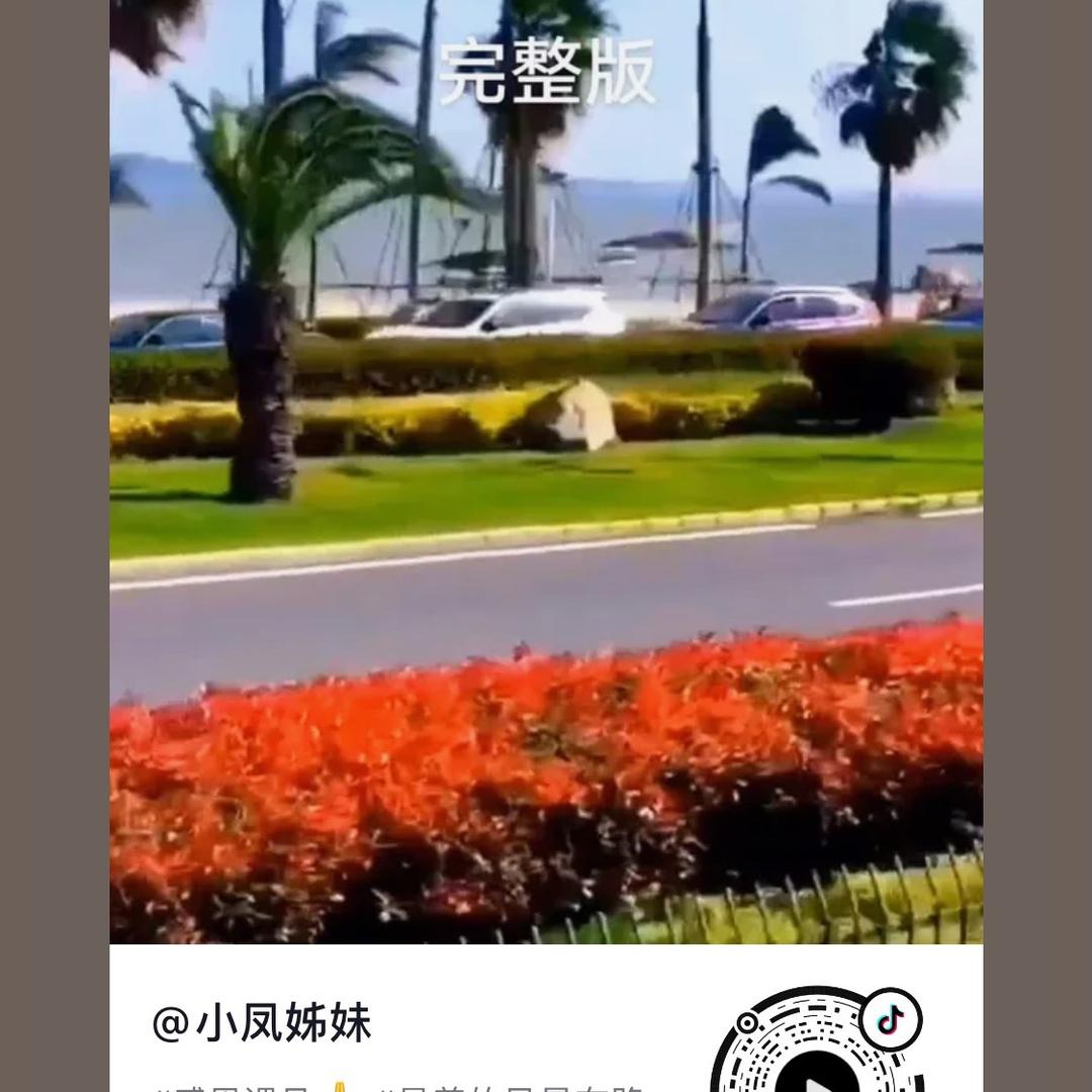 严姐