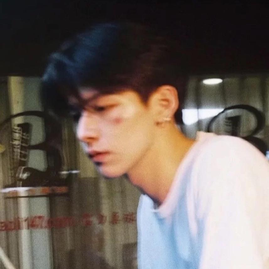 穿披风的小狗