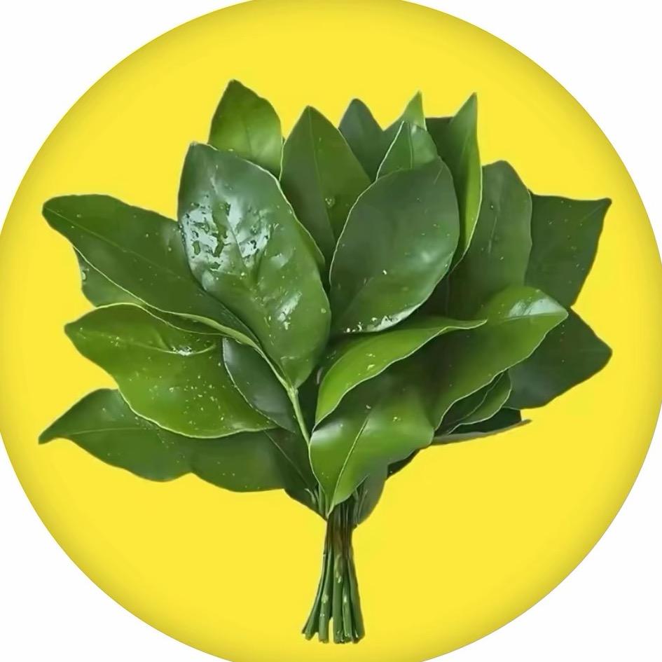 AAA-钢铁建材胡哥