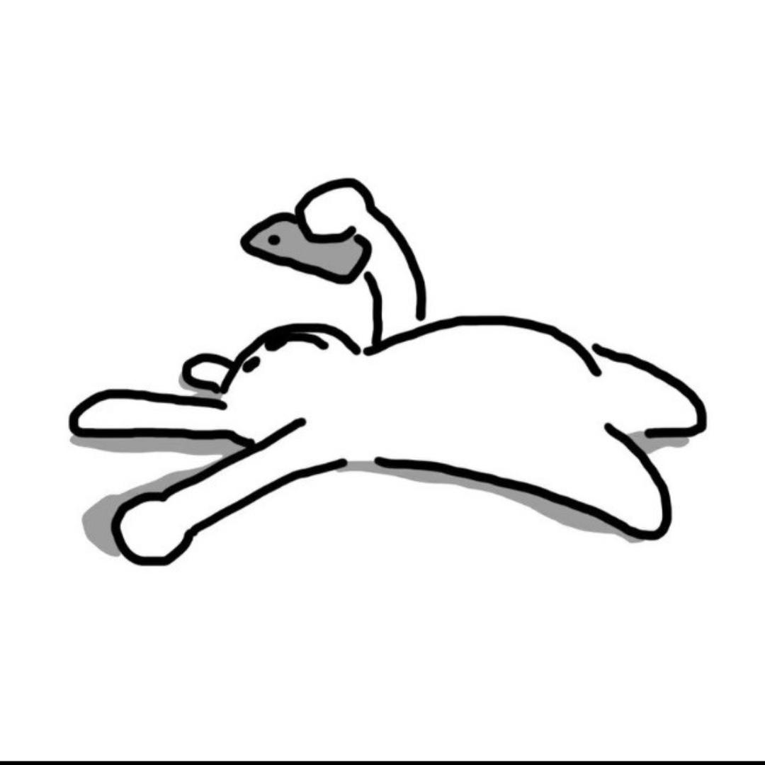 w7z7w（见过梁博版