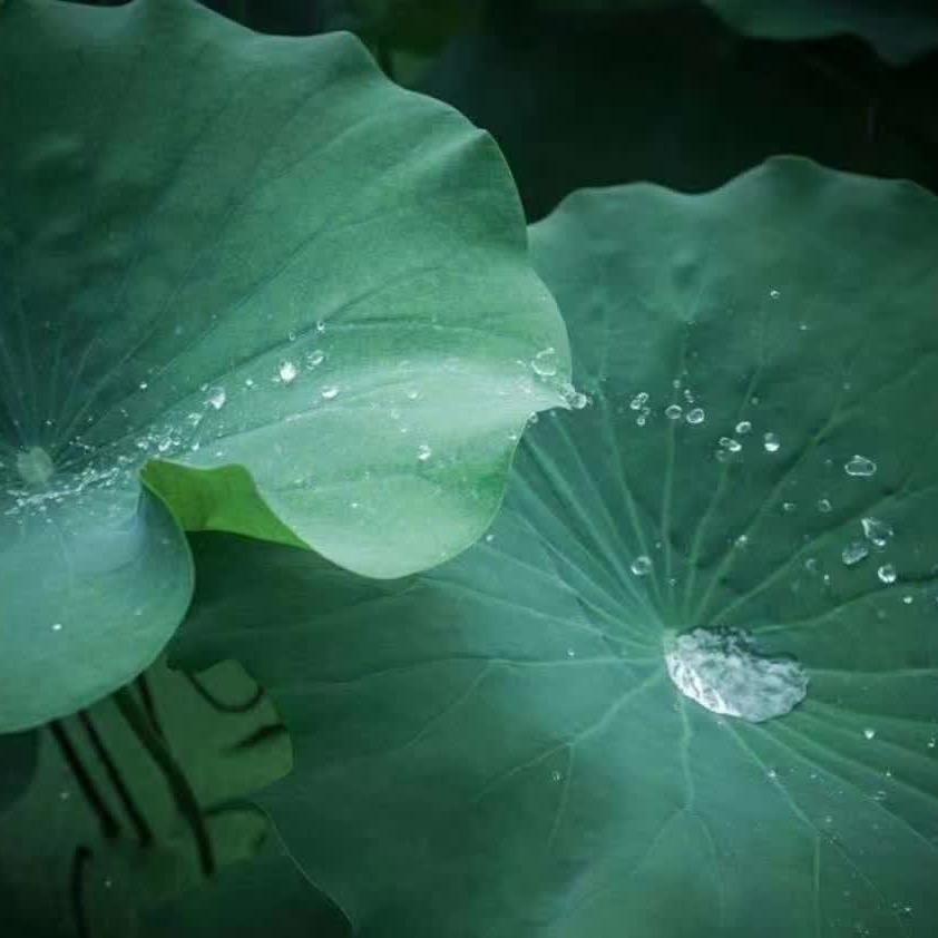 曼妙人生🍀