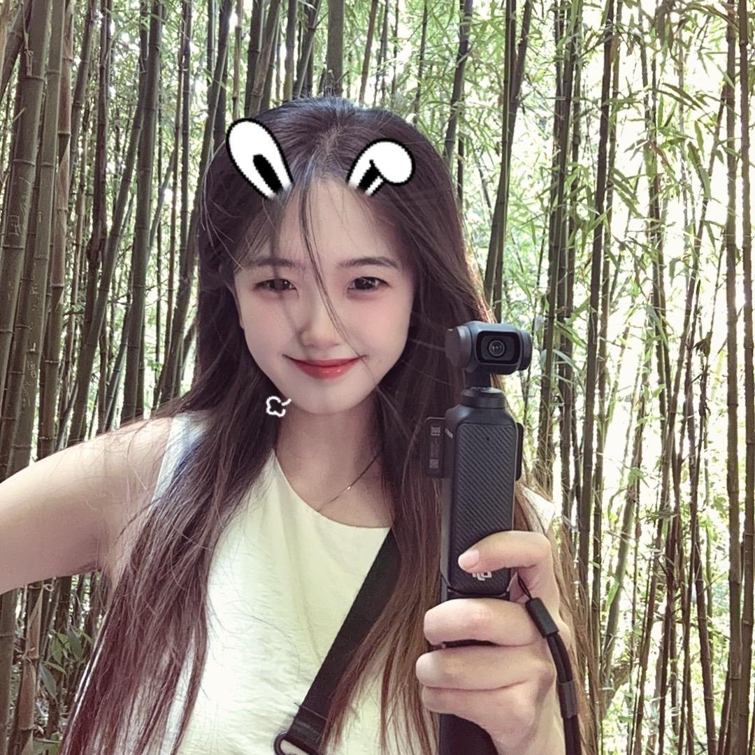 羊了个羊🐏