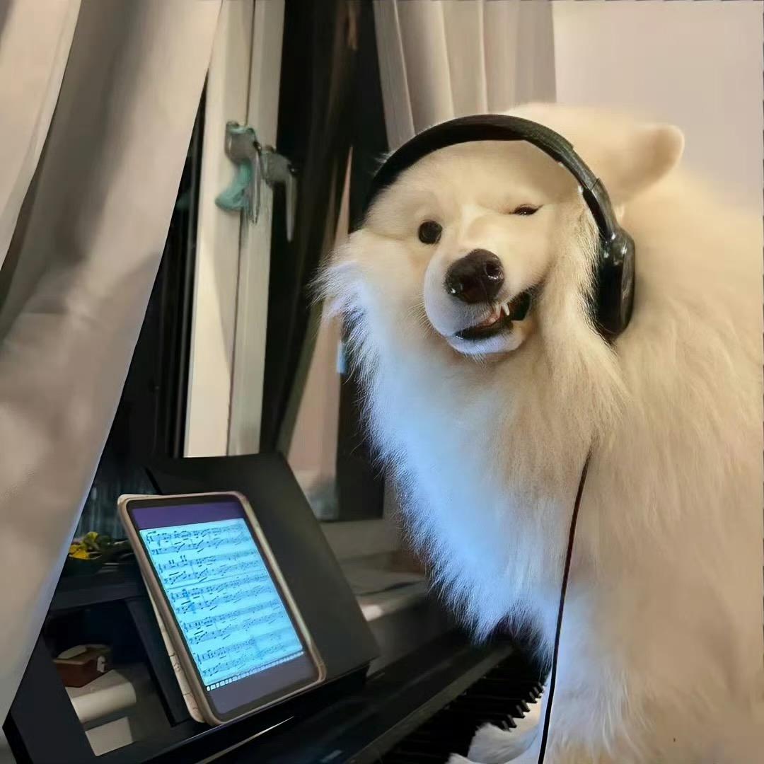 可可爱爱没有老戴