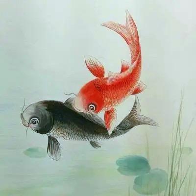 会飞的鱼
