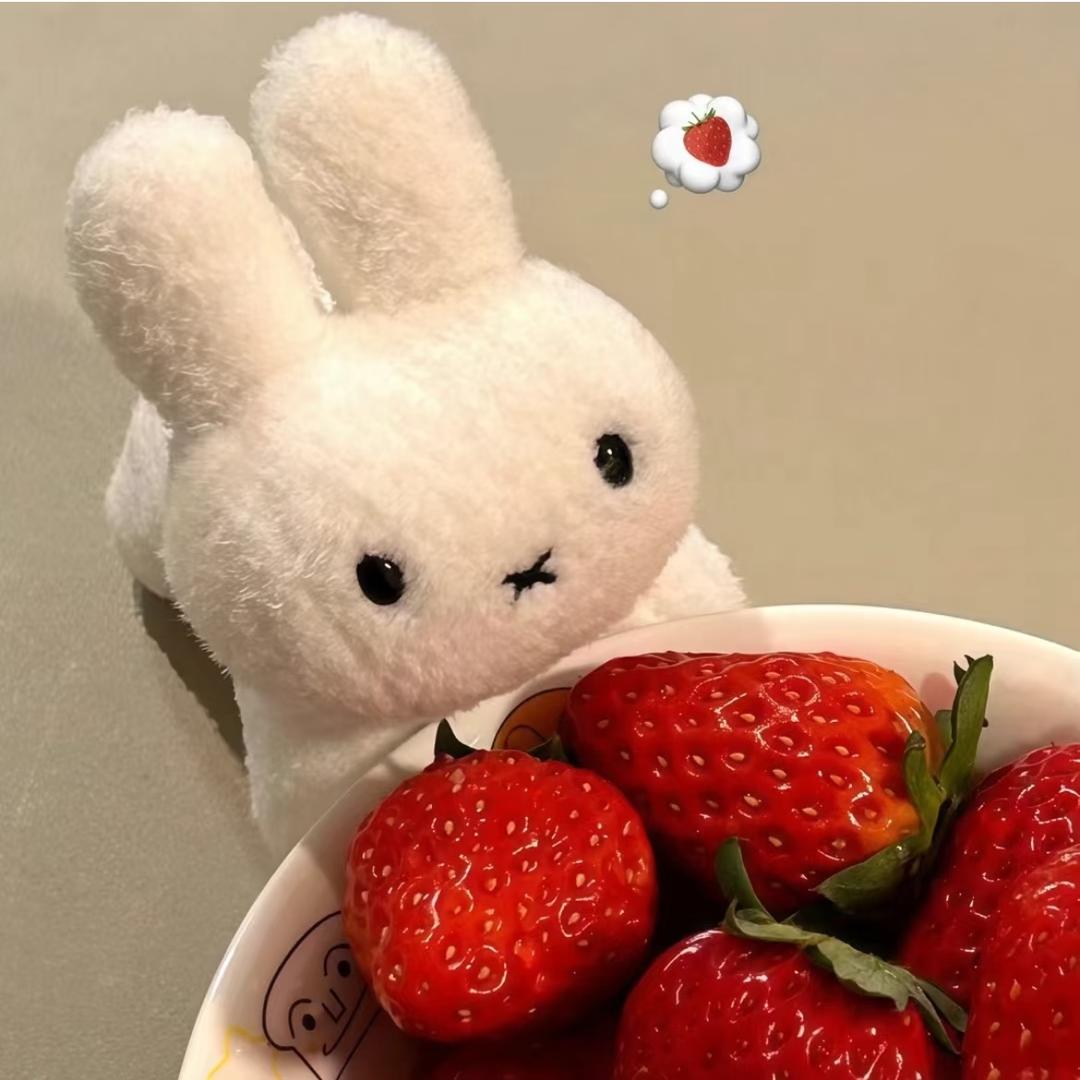 小兔可妮ꪔ̤̮