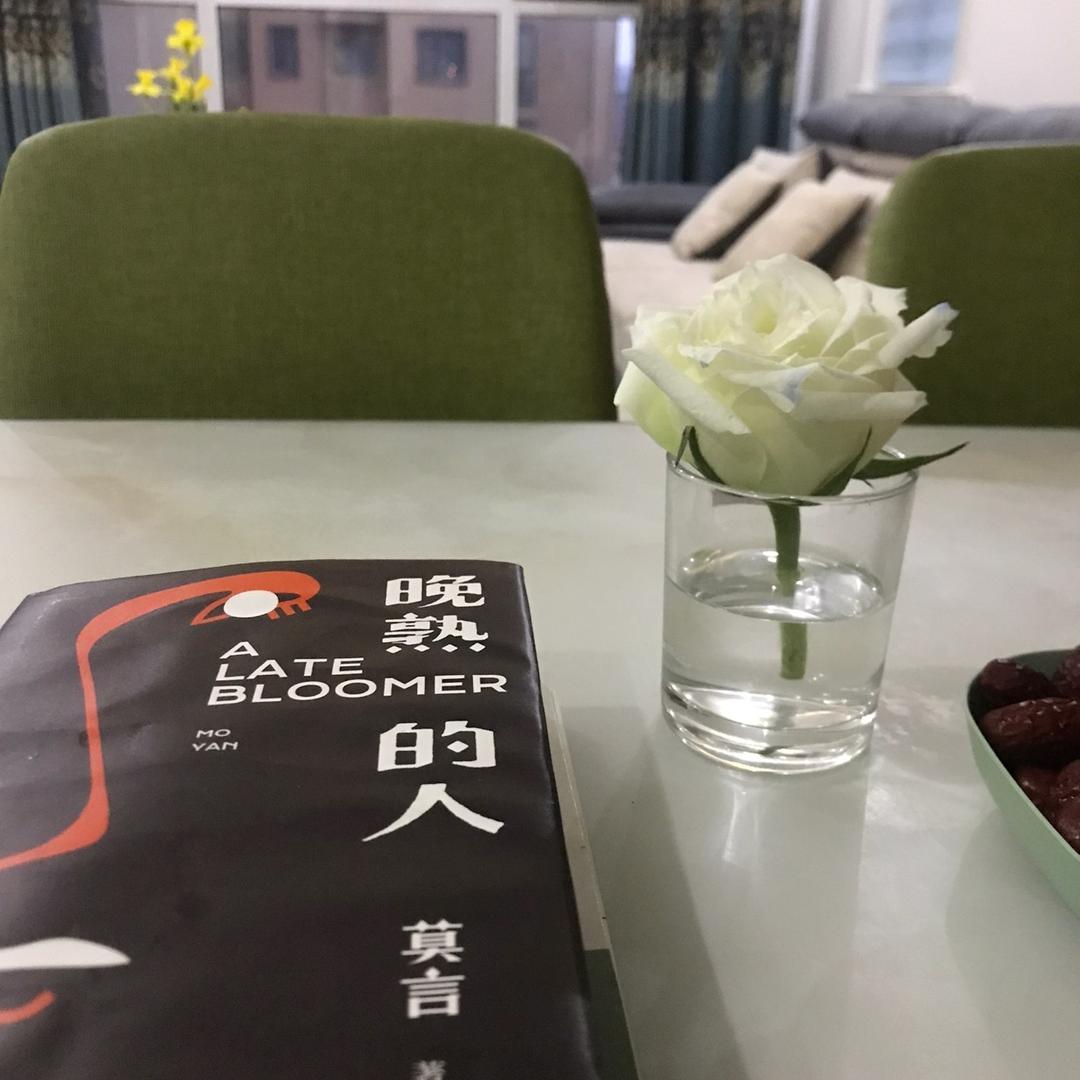 在岁月中远行