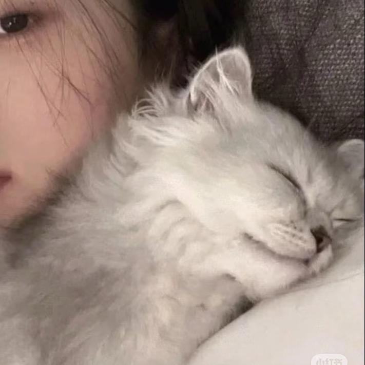 @小小晗