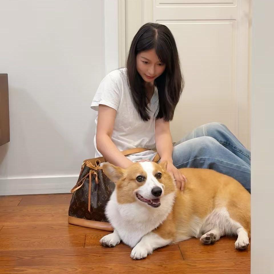 励志的李小奇（被小姨啃狗版