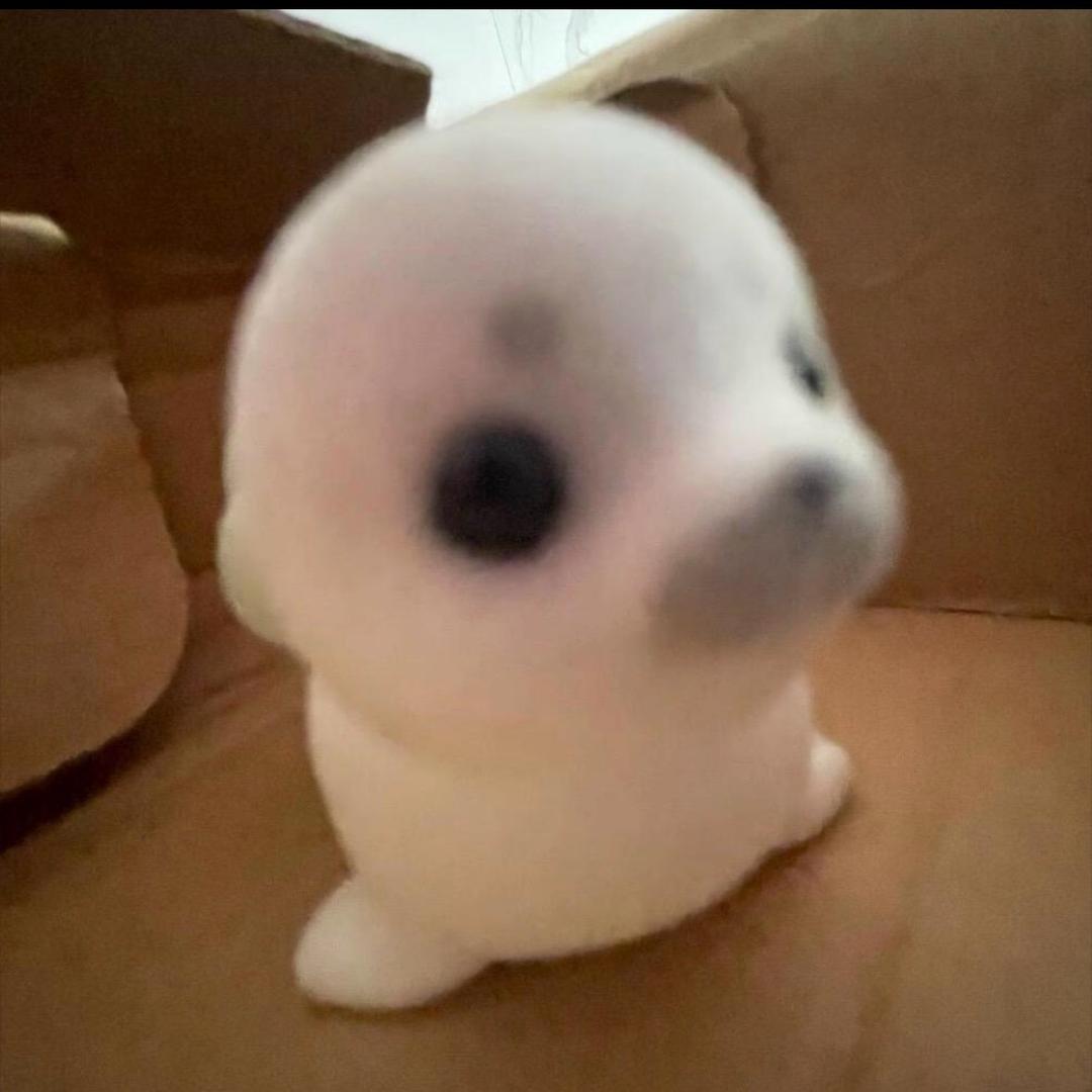 写信告诉我今天海的颜色