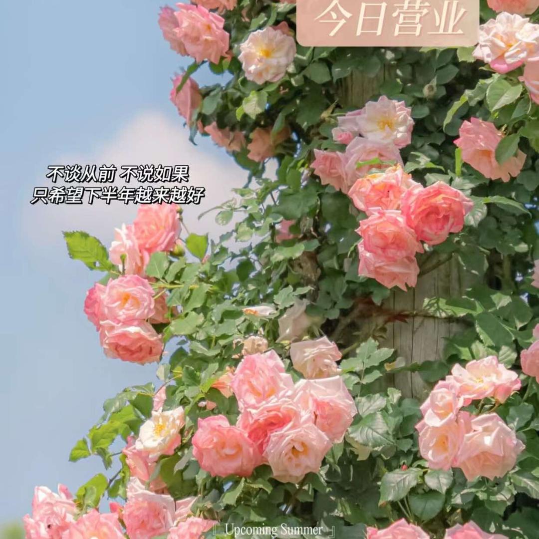 如初·护肤日常