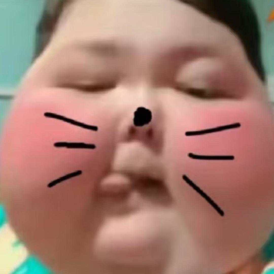 骑着蟑螂追火箭