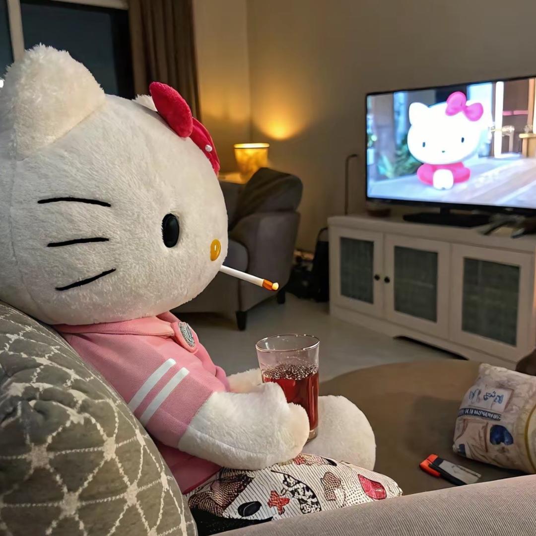 好想养只猫
