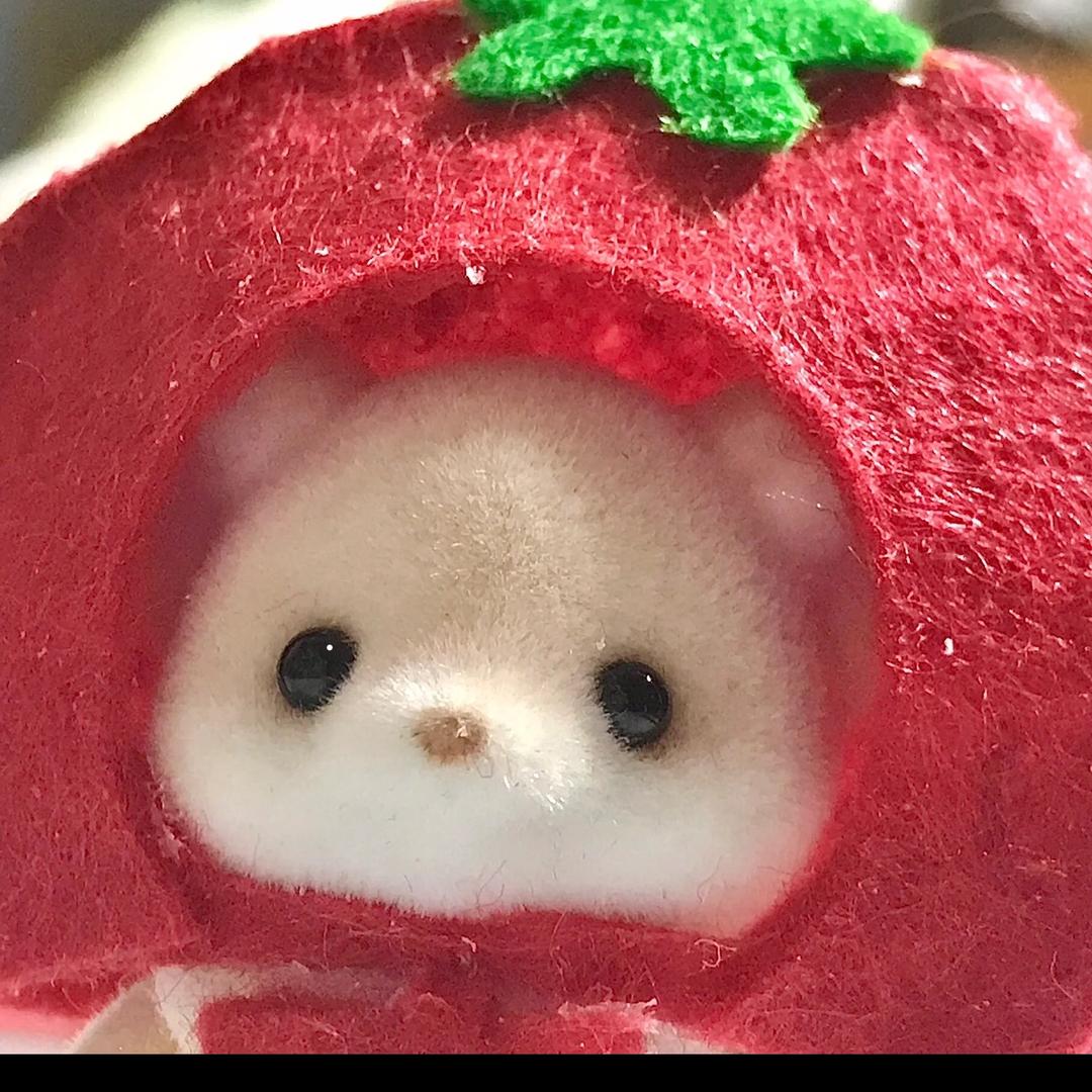 柚子酱